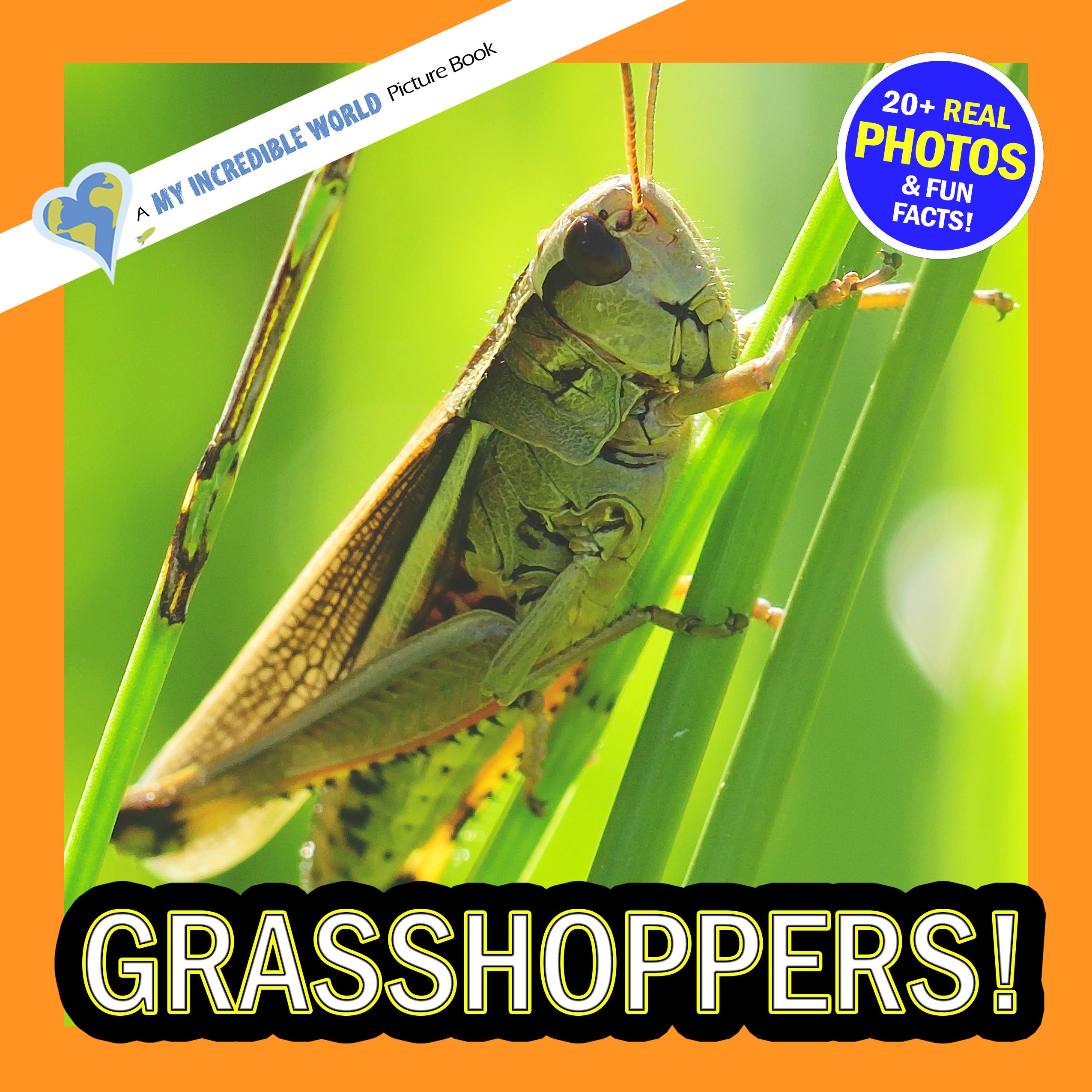 Grasshoppers! A My Incredible World Picture Book for Children